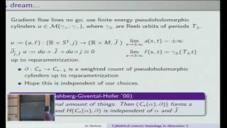 Cylindrical contact homology in dimension 3 via intersection theory and more - Joanna Nelson