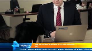 Выступление мэра Риги чуть не сорвал кот Выступление мэра Риги чуть не сорвал кот