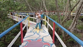 Wisata Baru di BANGKALAN || Susur Sungai di Mangrove Bancaran