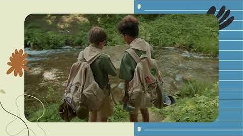 Real World Problems on the Coordinate Plane