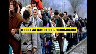 Пособия для вновь прибывших невест и женихов в Германии. Пособия для вновь прибывших невест и женихов в Германии.