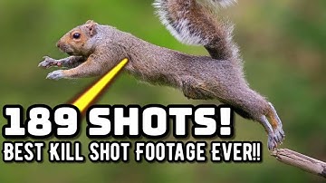 The BEST Squirrel Hunting Footage... Trust me, you have time!