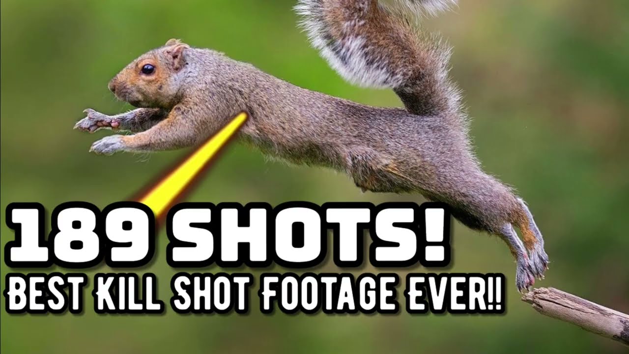 The BEST Squirrel Hunting Footage... Trust me, you have time!