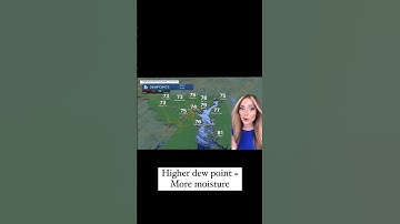 Science with Stevie: What is dew point?💧