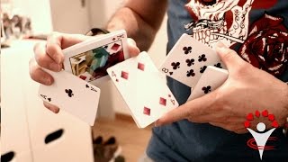 One Year of Cardistry - Compilation