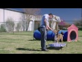 Starmark Pro-Training Hands-Free Leash Starmark Pro-Training Hands-Free Leash