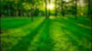 Valentine Mashup Ft Atif Aslam Darshan Rawal _