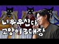 sub) 수의사들이 두려워하는 '고양이 3대장'