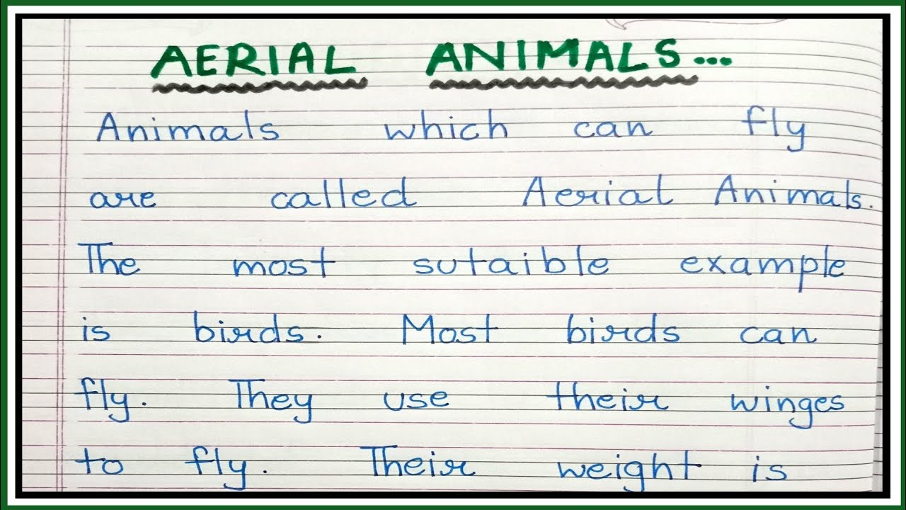 Aerial animals/what are aerial animals/Aerial animals name || - YouTube