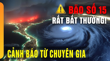 BÃO SỐ 15 Sắp Hình Thành? Chuyên Gia Cảnh Báo Đường Đi Mới Nhất!