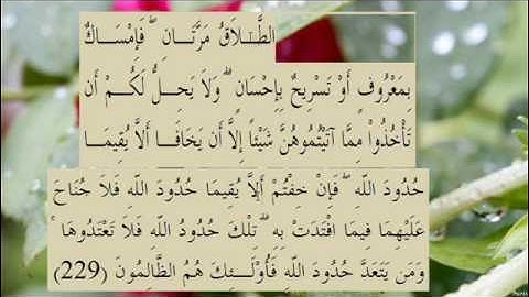 القران الكريم سورة البقرة الاية  229