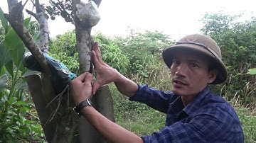 Thời điểm khoanh vải vụ mùa 2026