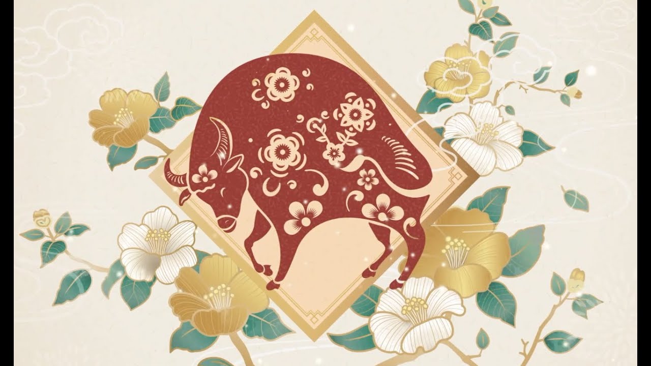 GLOBALink | Lunar New Year message from HKSAR chief executive