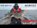 Episode no1 skrei fishing 2024 sommaroy skrei angeln im norwegen big mama 22kg skrei fishing