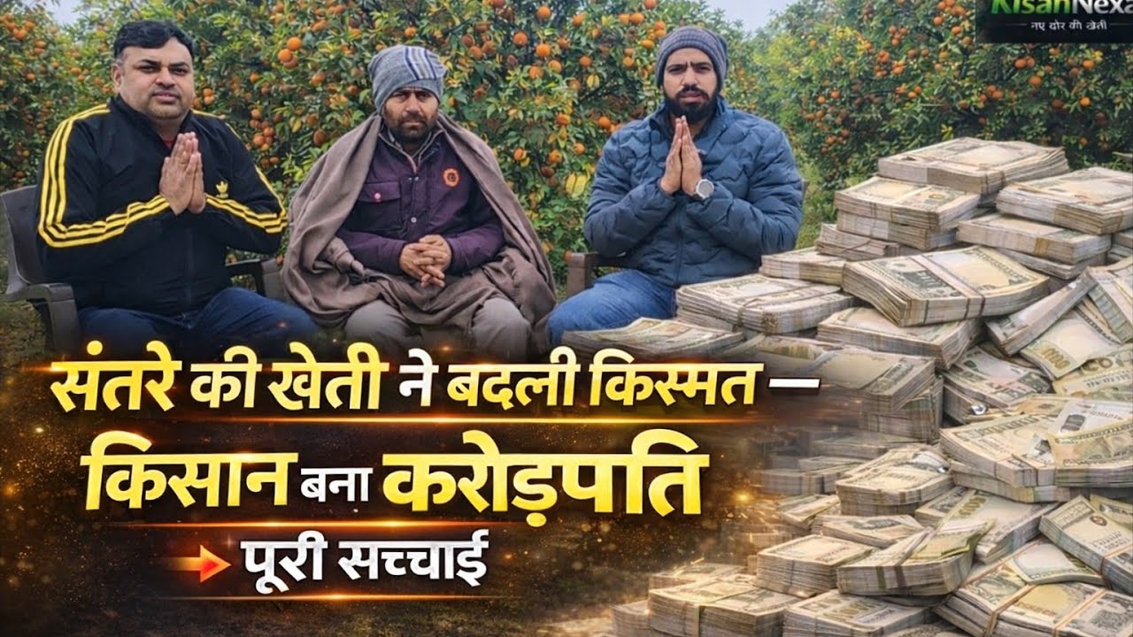संतरे की खेती ने बदली किस्मत — किसान बना करोड़पति | पूरी सच्चाई@Kisannexa