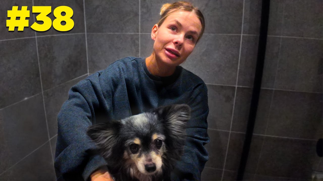 HUR GÅR DET MED ELTON? | VLOGG³ #38