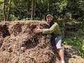 Wood Chips In Walkways