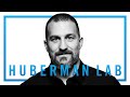 Thumbnail pour Welcome to the Huberman Lab Podcast