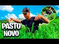 MOSTRANDO MEU PASTO NOVO