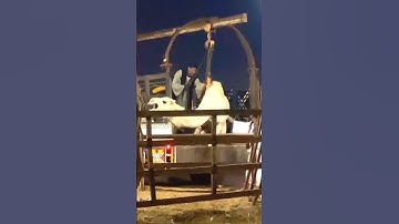 Mind Blowing Camel Loading Technique | #shorts #camelloading #unblivable #akfunn