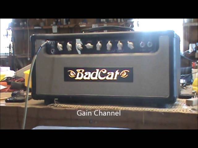 Bad Cat 'Hot Cat 30' Amplifier Serviced by Tennessee Amp class=