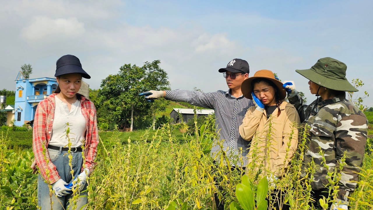 Tu Dao Joins CEO John's Family in Charity - Fake Sister's Shocking Action Puts Her in Danger