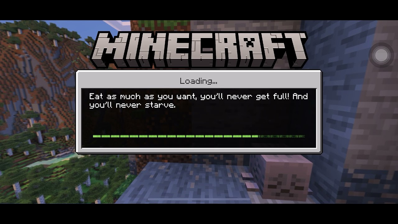 Uhm…something is wrong with my Minecraft…AND NO I DO NOT HAVE MODS I’M ...
