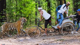 रिक्सा वाले टाइगर Attack | tiger attack man in the forest, tiger attack in jungle