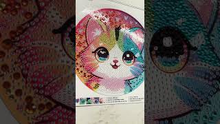 #amazonfinds #diamondpainting #cat @MissBELLE003