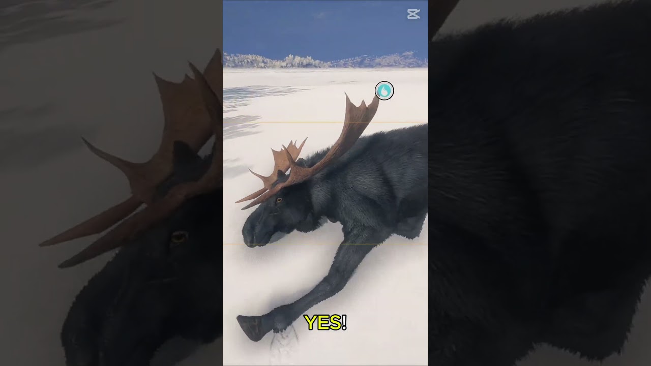 A Gold MELANISTC Moose! | Hypifed | theHunter : call of the wild