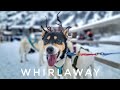 The (Sled) Dog Days of Winter: Ep. 23 Whirlaway
