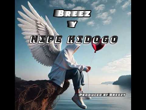 Breezy Nipe Kidogo Official Audio