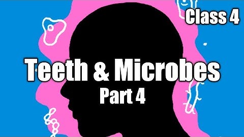 Class 4 | Chapter 2 | Teeth and Microbes : Part 4  ( Kinds of Microbes, Uses of Microbes )