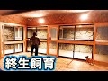 大蛇を終生飼養(動物がその命を終えるまで適切に飼養する事)を目的とする理想のケージを紹介します