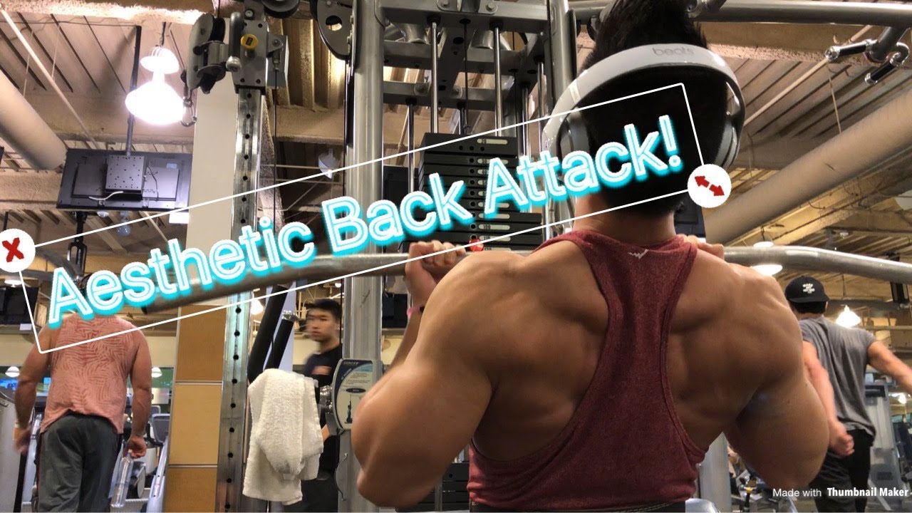 Aesthetic Back Workout! YouTube