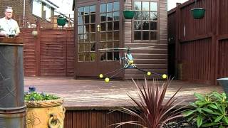 Trex 500 First Hover