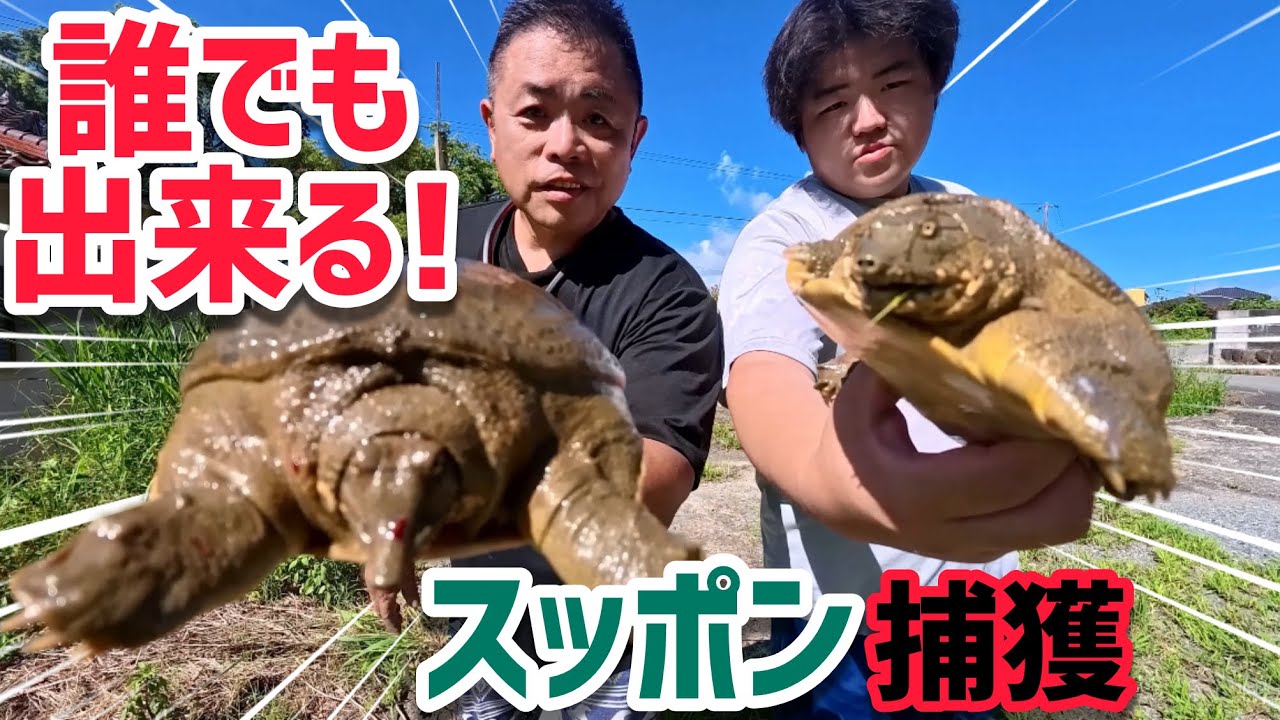 誰でも出来る簡単仕掛けでスッポン捕獲に挑戦してみた。