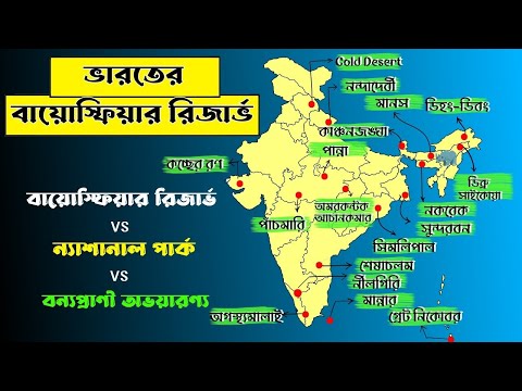 ভিডিও: প্রাকৃতিক ল্যান্ডস্কেপ। ফরেস্ট-স্টেপেস এবং স্টেপস