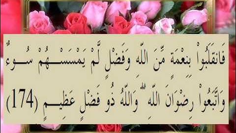 القران الكريم سورة آل عمران الأية 174