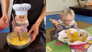 Abi monkey helps her mother prepare a delicious breakfast