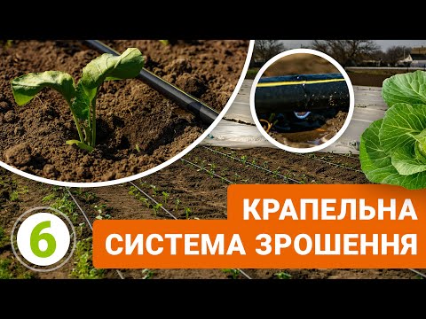 Крапельна система зрошення