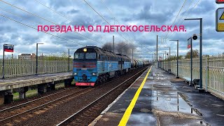 Поезда на о.п Детскосельская. Май 2024 г. ОЖД