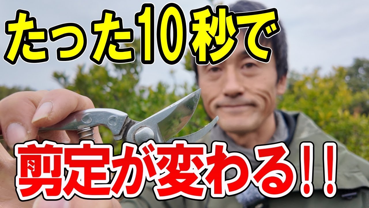 【剪定バサミ 手入れ 研ぎ方】研ぎ石不要！簡単お手入れで剪定バサミの切れ味復活！