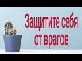 Защитите себя от врагов. | Тайна Жрицы |