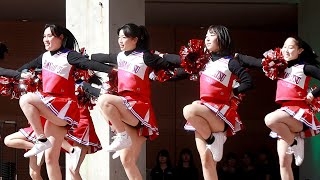 浜松修学舎高校 チアダンスステージ アクトでやらまいか 浜松まつり2024