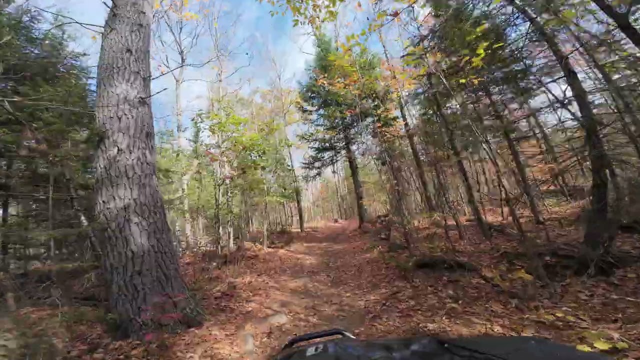 DJI 20251010120912 0006 D