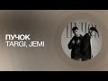 Премьера песни Пучок | TARGI, JEMI 🎶