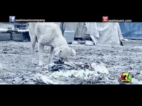 Raja Shahi, John and The Team - Corrupted