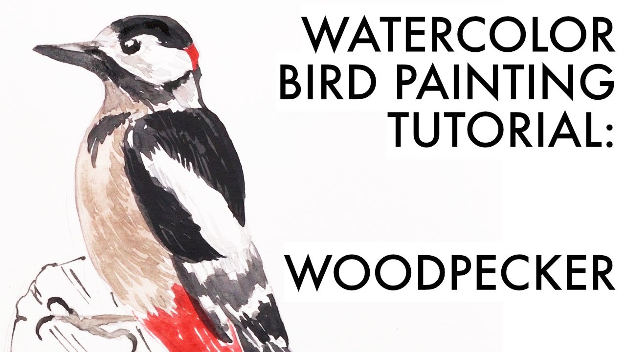 Painting a woodpecker watercolor bird painting tutorial YouTube