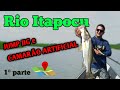 Robalos com Jump jigs e Camarões artificiais - Dicas ( Loja Universo Fishing )